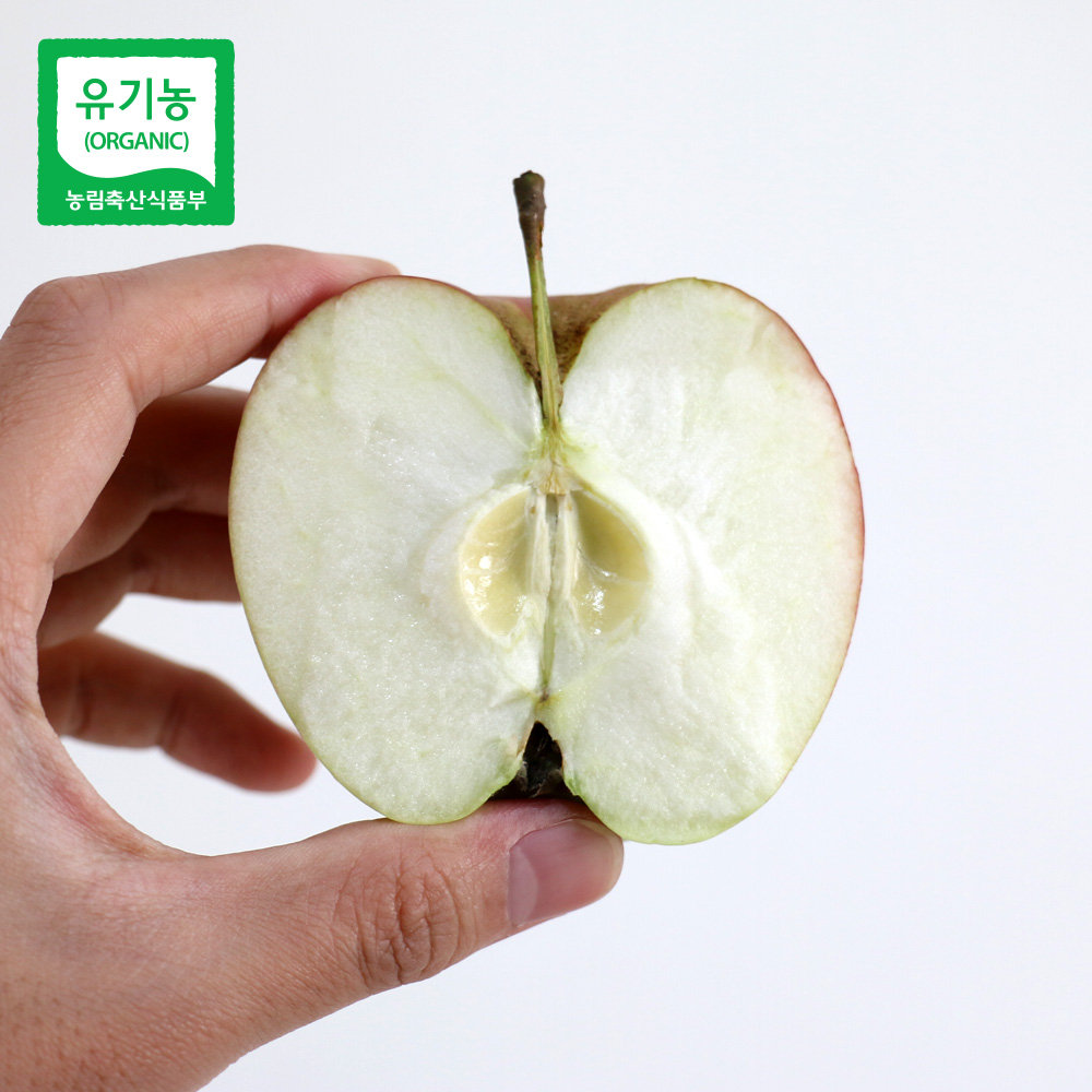 [예약발송/희황농장] 껍질이 씹히지 않는 유기농 사과 (아오리) 3Kg