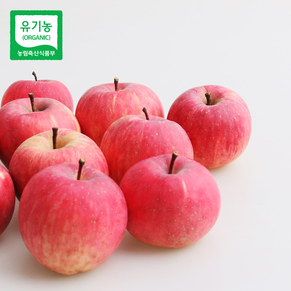 [예약발송10.22발송~/희황농장] 껍질이 씹히지 않는 유기농 사과 (홍추)  1.5Kg